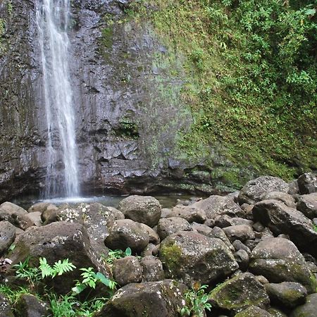 Hawaiian Monarch 2108 Condo ホノルル エクステリア 写真