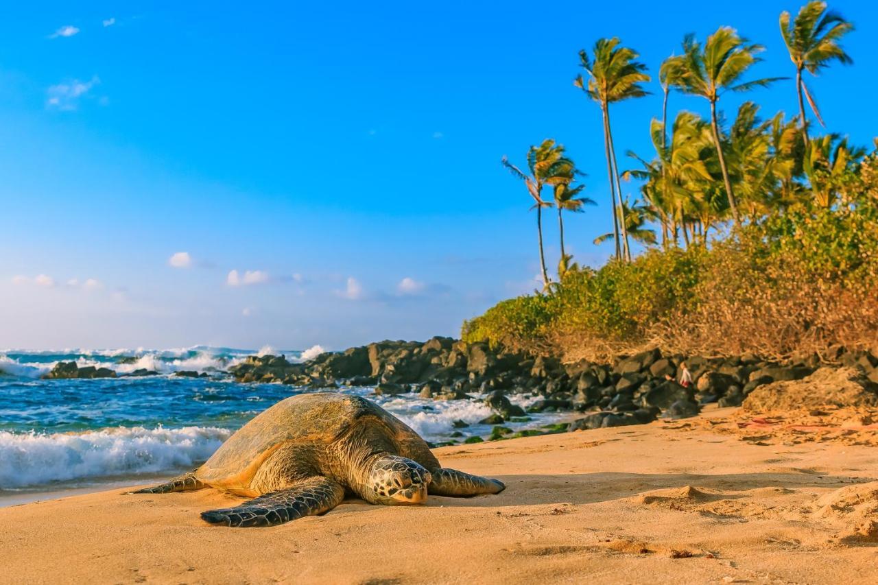Hawaiian Monarch 2108 Condo ホノルル エクステリア 写真