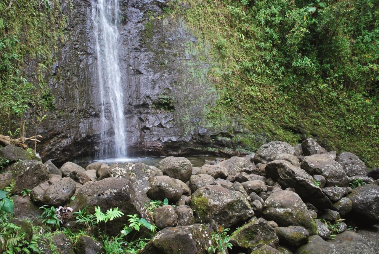Hawaiian Monarch 2108 Condo ホノルル エクステリア 写真